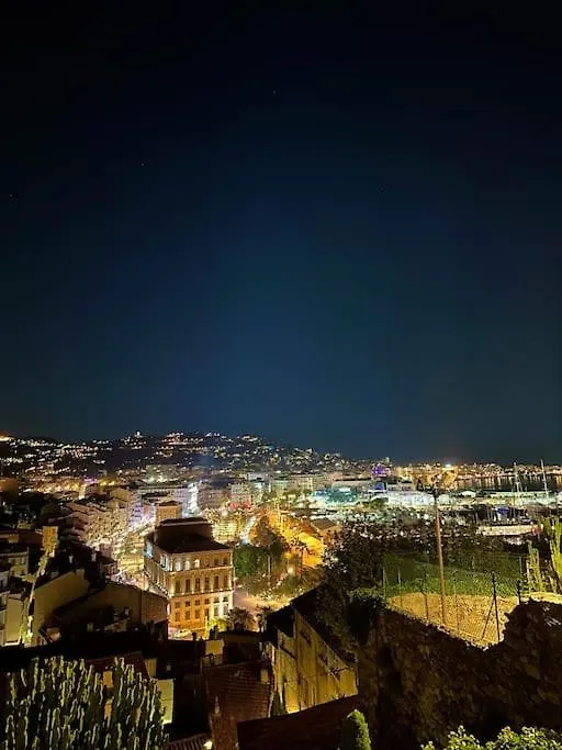 Best Location In Cannes! Just Renovated!
